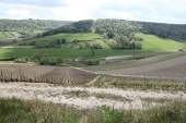 Champagne de Bar-sur-Aube